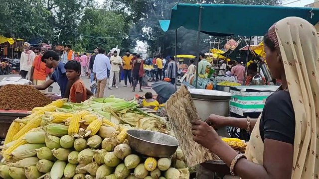 UJJAIN | MAHAKAL | DARSHAN | YATRA | RAMGHAT | HARSIDHI TEMPLE @LOCAL | TOUR | VIDEOS ​