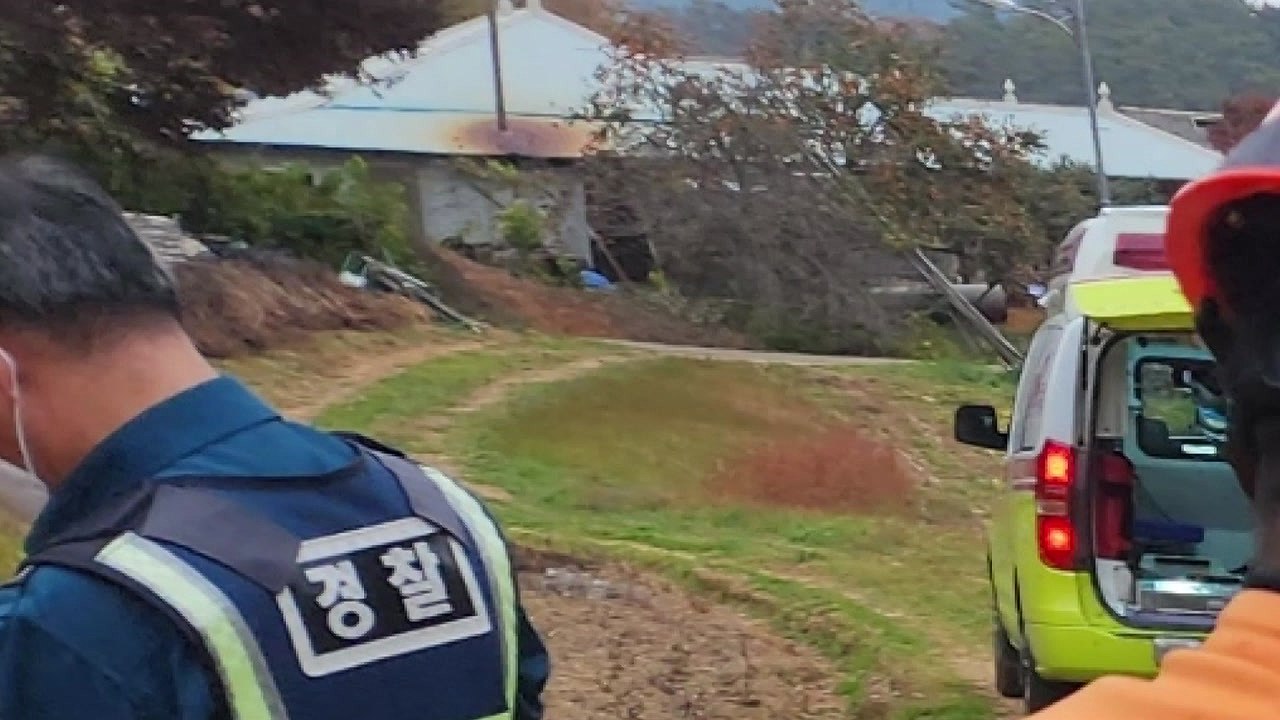 서산서 멧돼지 포획하다 동료 총에 맞아 숨져 / YTN