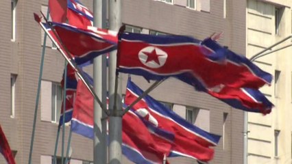 北, '대북전단금지법 위헌' 의견 권영세에 막말 비난 / YTN