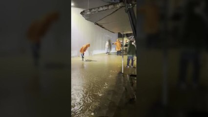 도심 곳곳 침수 우려..."낙엽에 배수로 막혀" / YTN