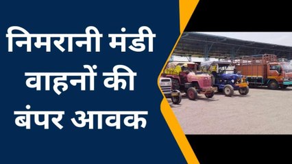 खरगोन :निमरानी कृषि उपमंडी में उपज की अच्छी आवक,जानिए क्या रहा भाव