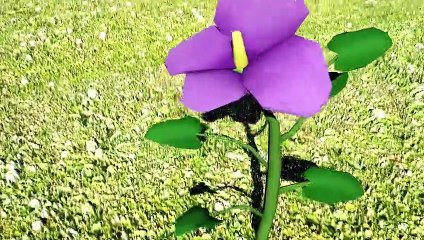 A fotossíntese das plantas _Ciências para crianças