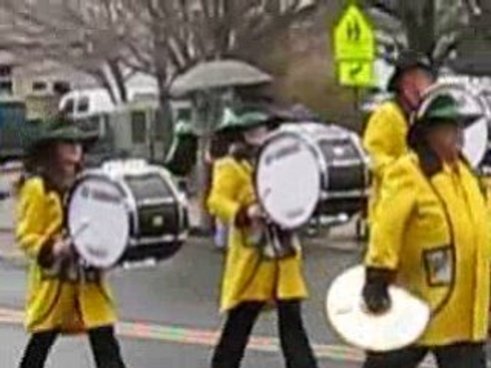 Saint Patrick's Day cool percussions