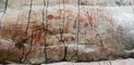 Ice Age Rock Art Discovered Hidden In Amazon Rainforest | LiveScience