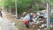 L'ouest du Venezuela envahi par des escargots géants