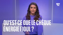 LE ZOOM ÉCOGESTE - Qu'est-ce que le chèque énergie fioul?