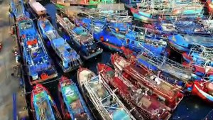 Indonesia_Drone_Footage_free
