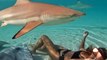 Swimming With Blacktip Sharks and Stingrays