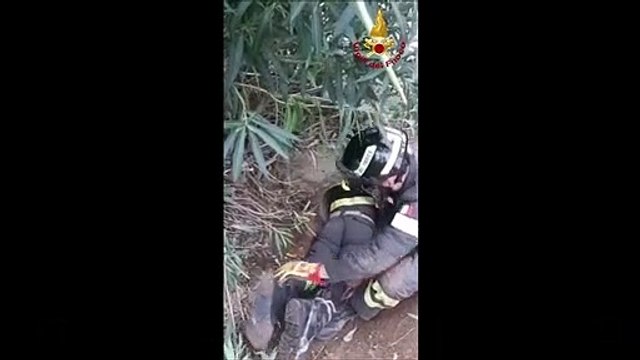 Campiglia (Livorno), i vigili del fuoco salvano cane intrappolato