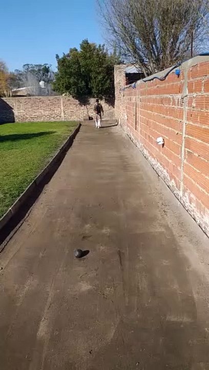 Video de Prueba