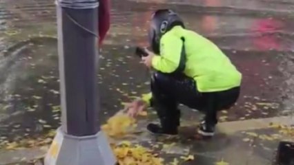 직접 팔 걷어붙이고 배수구 이물질 치운 시민들 / YTN