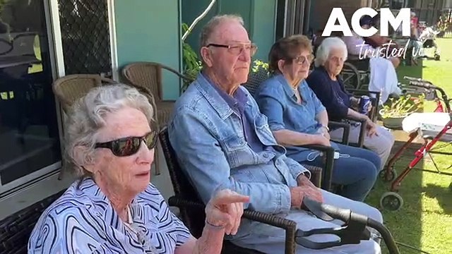 Fresian horse performance at Beaudesert, November 12, 2022, Beaudesert Times