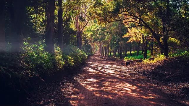 ATTRACT PURE CLEAN POSITIVE ENERGY l MANIFEST ANYTHING FROM THE UNIVERSE l MEDITATION MUSIC