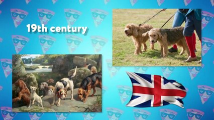 Rarest Dog Breeds in The World Created in Recent Years