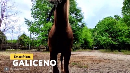 11 Rarest Cross Breed Animals In The World