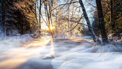 Relaxing Piano Music • Sleep Music, Birds Sound, Relaxing Music, Meditation Music