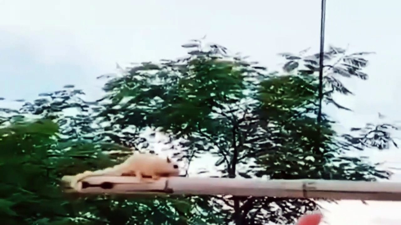 It worked out right  The landing