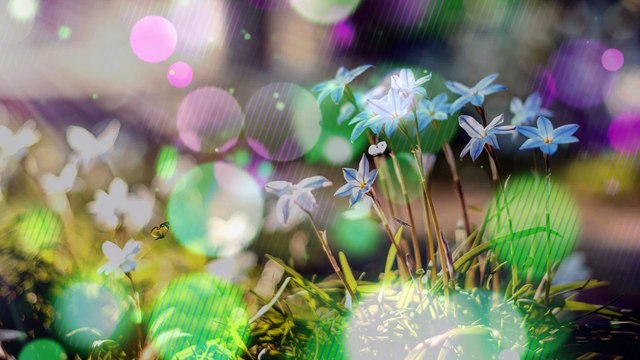 [Acoustic therapy for rhinitis] Music that heals you with a mix of 787Hz frequency that helps self-healing power and miracle frequency Solfeggio frequency 528Hz.