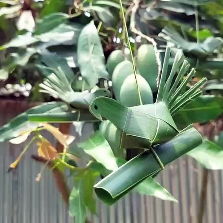 Membuat burung dari daun kelapa