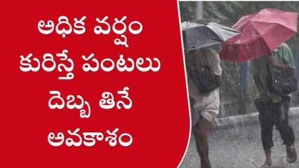 ప్రకాశం: జిల్లాపై అల్పపీడన ఎఫెక్ట్