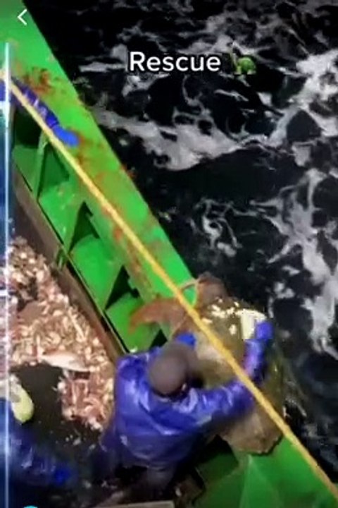 real life Hero's random acts of kindness catch on camera