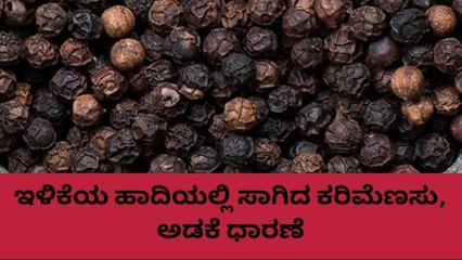 ಕೊಡಗು: ಏರಿಕೆ ಕಾಣದ ಕರಿಮೆಣಸು, ಅಡಕೆ ಧಾರಣೆ; ಎಷ್ಟಿದೆ ಮಾರ್ಕೆಟ್ ರೇಟ್..?