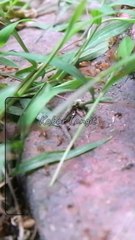 Allah Akan Mengganti Segala Sesuatu Yang Hilang