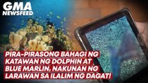 Pira-pirasong katawan ng dolphin at blue marlin, nakunan sa ilalim ng dagat | GMA News Feed