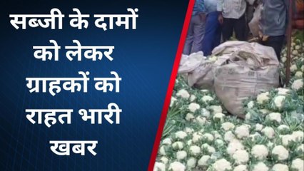 नागोद:सब्जी के दाम कम होने से किसान चिंतित,नहीं मिल रहा मेहनत के अनुसार दाम,देखिए खबर