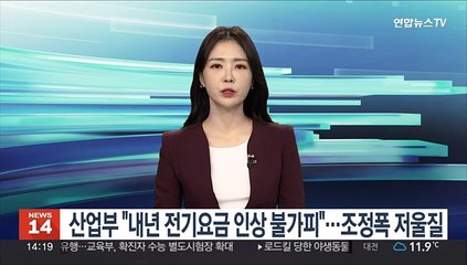 산업부 "내년 전기요금 인상 불가피"…조정폭 저울질