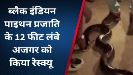 सोहागपुर:गौशाला के अंदर से निकला ये खूंखार जानवर,वन विभाग की टीम के उड़े होश,देखिए खबर