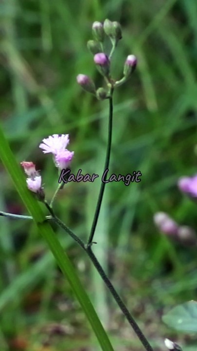 Berikan Ketenangan Kepada Yang Sedang Berduka