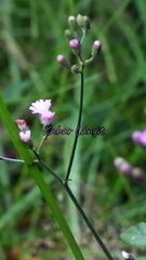 Berikan Ketenangan Kepada Yang Sedang Berduka