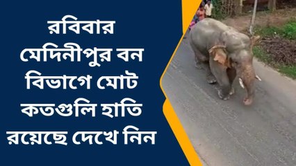 মেদিনীপুর: বাড়তি সাবধানতা নেওয়ার সতর্কতা জারি বনবিভাগের