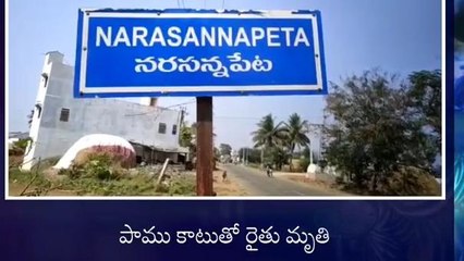 జలుమూరు: పాము కాటుతో రైతు మృతి