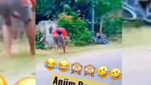 Video Lucu Abis keren Bikin Ngakak Kelakuan Warga Bumi Bikin Sakit Perutfunny Comedy Videos
