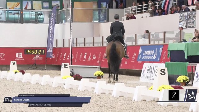 Grand National FFE - AC Print - Dressage | Saint-Lô (FRA) | Camille DOLLE | DARTAGNAN DE HUS