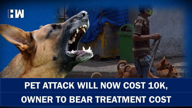 Headlines: Noida Authority Strict On Pet Owners, 10K Fine For Cat/Dog Attack | Dog Bite Treatment