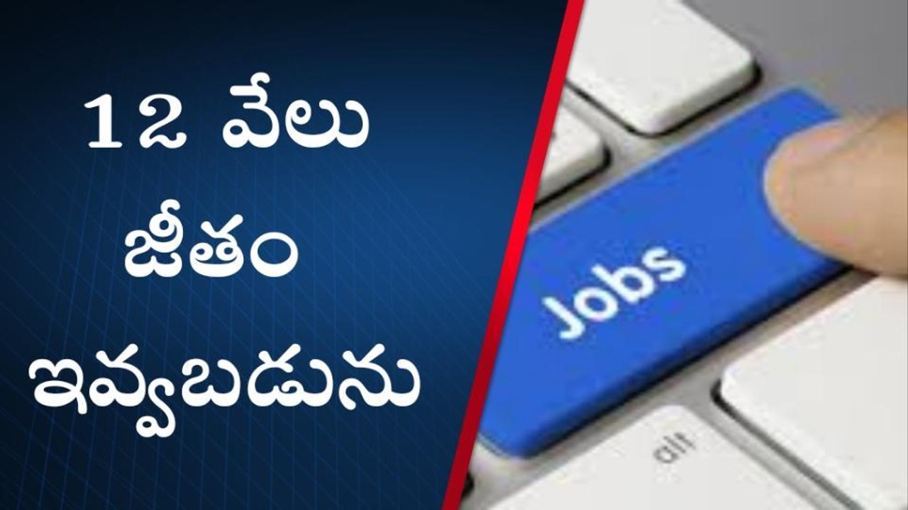 పార్వతీపురం: రూ. 12 వేల జీతం... ఇంటర్ అర్హత ఉంటే చాలు