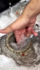 Watch This Till The End To Find Out What Happens!