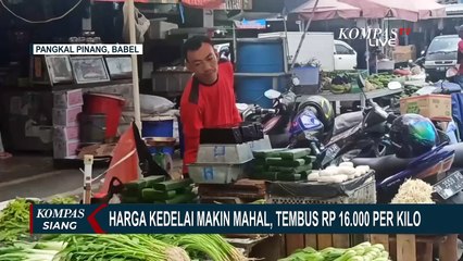 Download Video: Akibat Harga Kedelai Mahal, Pedagang Tempe di Bangka Belitung Terpaksa Kurangi Stok Dagangannya