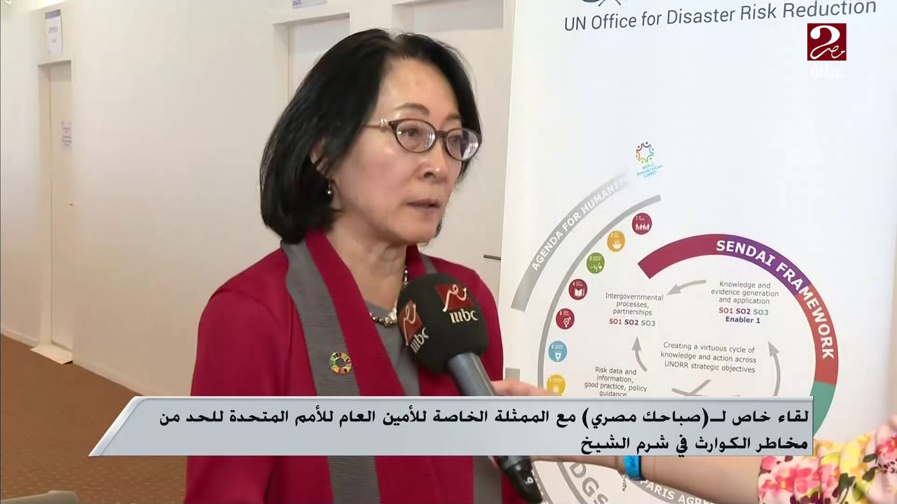 الممثلة الخاصة للأمين العام للأمم المتحدة للحد...