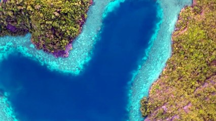 Video Keindahan Alam Indonesia - Raja Ampat