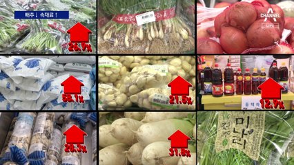 금추였는데…배추값만 내리고 김치 속재료 가격 ‘껑충’