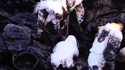 20 años de la catástrofe medioambiental del hundimiento del Prestige