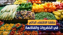أستاذ اقتصاد زراعي: مصر ستكون سلة غذاء العالم ولدينا اكتفاء ذاتي من الخضروات والفاكهة