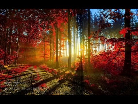 Ludwig van Beethoven-Piano Sonata No. 8 in C minor Op. 13-Sonata Pathétique