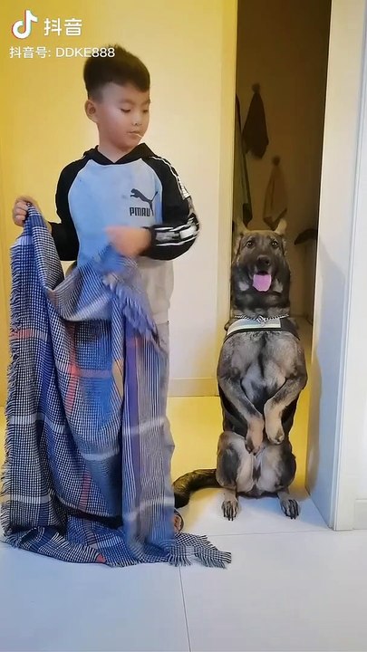 So funny but don't miss end 