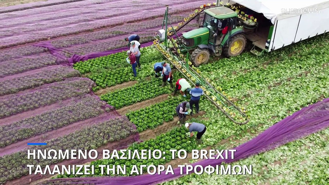 Ηνωμένο Βασίλειο: Προβλήματα στην παραγωγή τροφ...