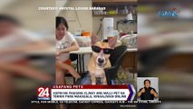 Aspin na pagiging clingy ang malu-pet na teknik para makagala, kinaaliwan online | 24 Oras Weekend